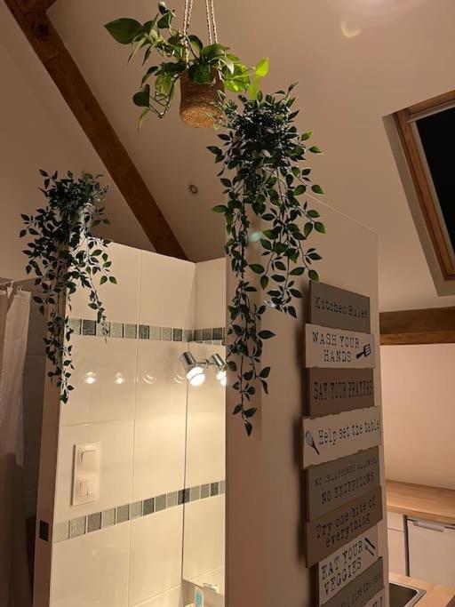 Magnifique Loft 2-3 Personnes Tout Confort Boulogne-sur-Mer Kültér fotó